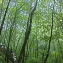 南阳旅游 缩略图 1