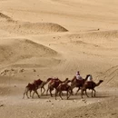 开罗旅游 缩略图 5