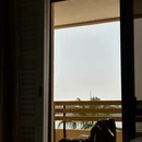 开罗旅游 缩略图 12