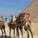 开罗旅游 缩略图 2