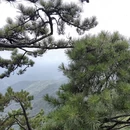 南阳旅游 缩略图 5