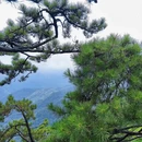 南阳旅游 缩略图 10