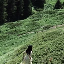 伊犁旅游 缩略图 5