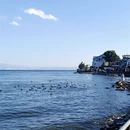 大理州旅游 缩略图 2
