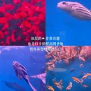 北京旅游 缩略图 12