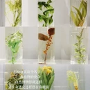 北京旅游 缩略图 11