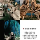 北京旅游 缩略图 10