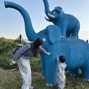 武汉旅游 缩略图 10