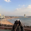 青岛旅游 缩略图 8