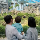 澳门旅游 缩略图 2