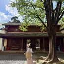大理州旅游 缩略图 14