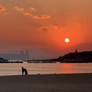 青岛旅游 缩略图 15
