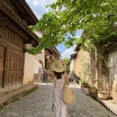 大理州旅游 缩略图 5