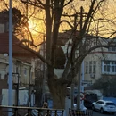 青岛旅游 缩略图 16