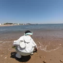 大连旅游 缩略图 5