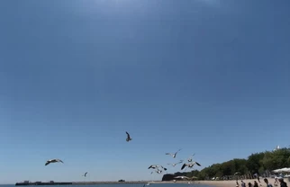 大连免费赶海遛娃全攻略