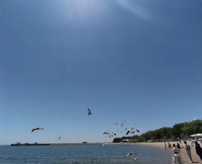大连旅游 1
