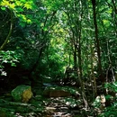 北京旅游 缩略图 7