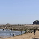 大连旅游 缩略图 3