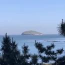 大连旅游 缩略图 8