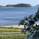 大连旅游 缩略图 6