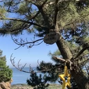 大连旅游 缩略图 7