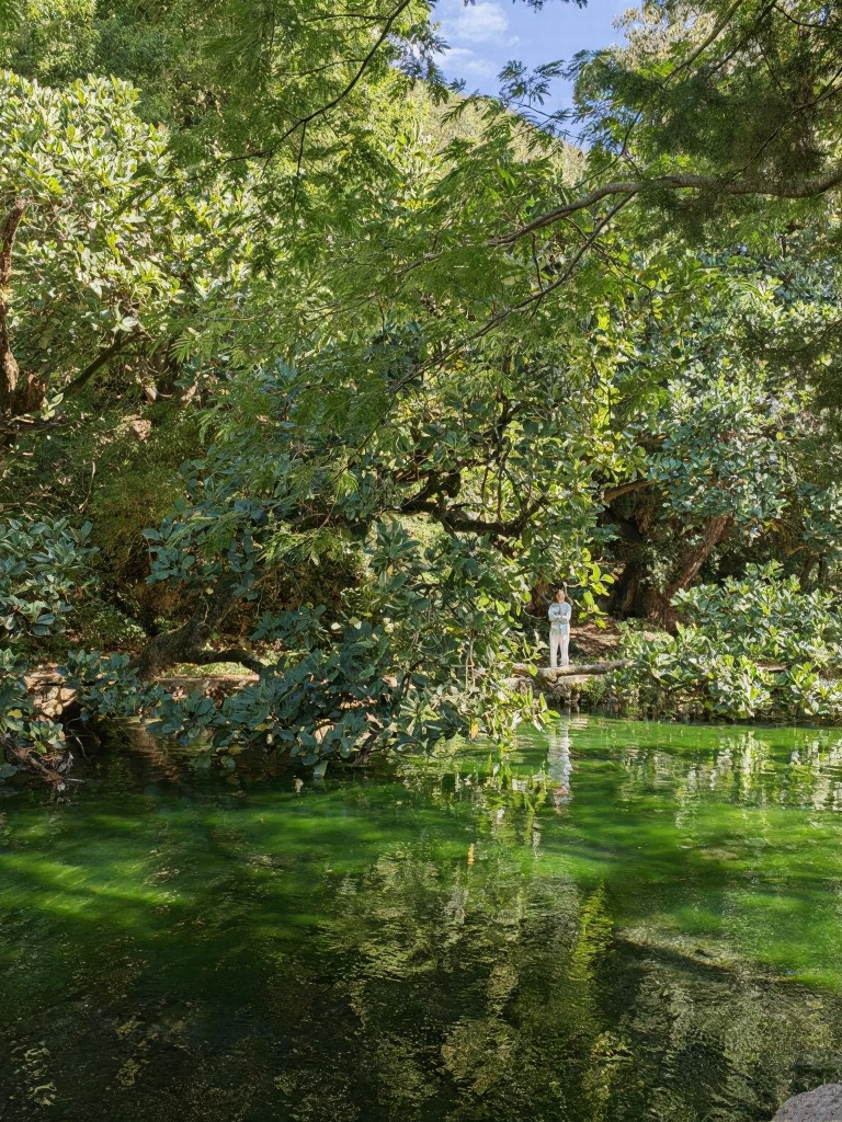 大理州旅游