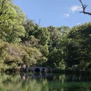大理州旅游 缩略图 3