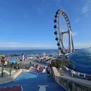 青岛旅游 缩略图 1