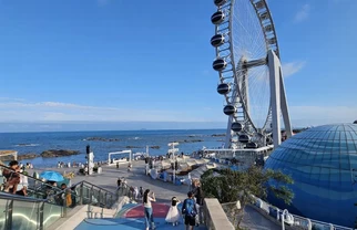 暑假来青岛，我超爱这条Citywalk路线