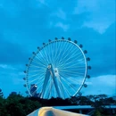 深圳旅游 缩略图 7