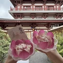 西安旅游 缩略图 11
