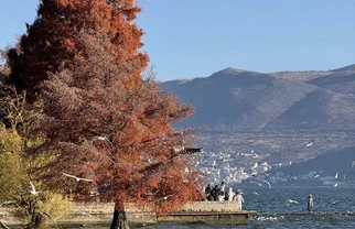 淡季大理，我心里旅行的白月光
