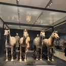 西安旅游 缩略图 7