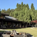 重庆旅游 缩略图 7