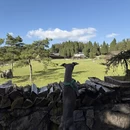 重庆旅游 缩略图 4