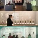 深圳旅游 缩略图 13