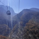 洛阳旅游 缩略图 5