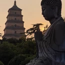 西安旅游 缩略图 2