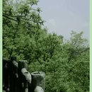 长沙黑麋峰森林公园 - 长沙市旅游 缩略图 10