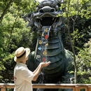 杭州旅游 缩略图 6