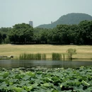 南京旅游 缩略图 4