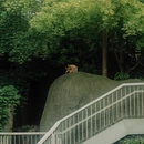 南京旅游 缩略图 7