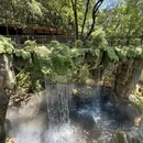 杭州旅游 缩略图 8