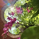 杭州旅游 缩略图 9