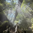 杭州旅游 缩略图 2