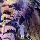 杭州旅游 缩略图 15