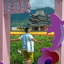 宁德旅游 缩略图 12