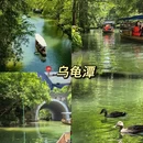 杭州旅游 缩略图 2