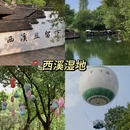 杭州旅游 缩略图 9